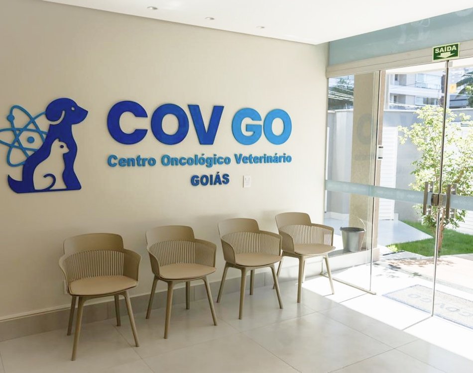 cov-goiás-1-10